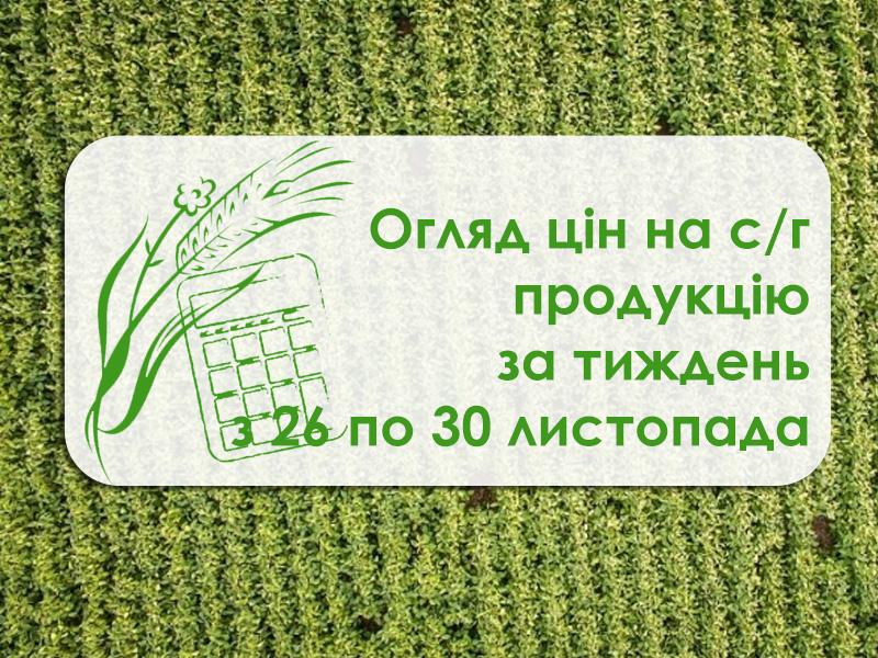 Як змінилася вартість зернових та олійних — огляд цін за тиждень з 26 по 30 листопада 