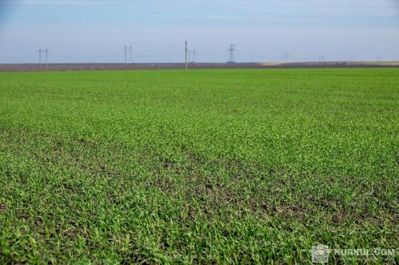 Фермери застосовують мотиваційні виплати для пайовиків через конкуренцію