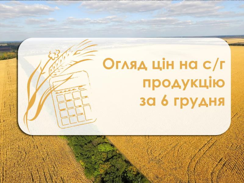 Соняшник різко подешевшав ― огляд цін на с/г продукцію за 6 грудня 