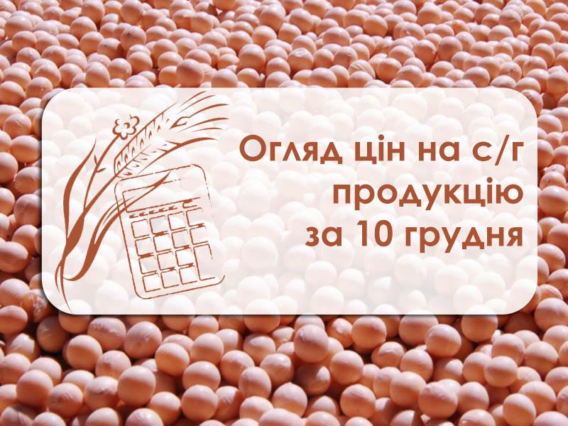 Зернові подорожчали, а олійні подешевшали — огляд цін на с/г продукцію за 10 грудня