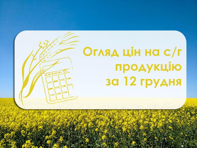 Вартість зернових та олійних стабільна — огляд цін на с/г продукцію за 12 грудня