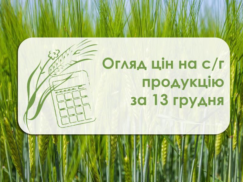 Соняшник подорожчав у портах обох областей — огляд цін на с/г продукцію за 13 грудня