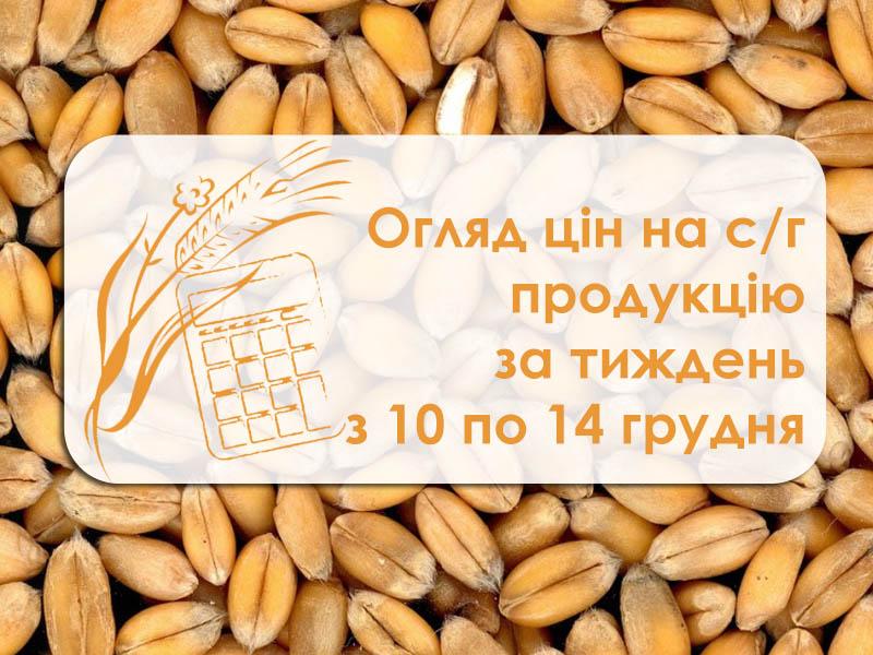 Динаміка цін на зернові та олійні за тиждень — огляд з 10 по 14 грудня