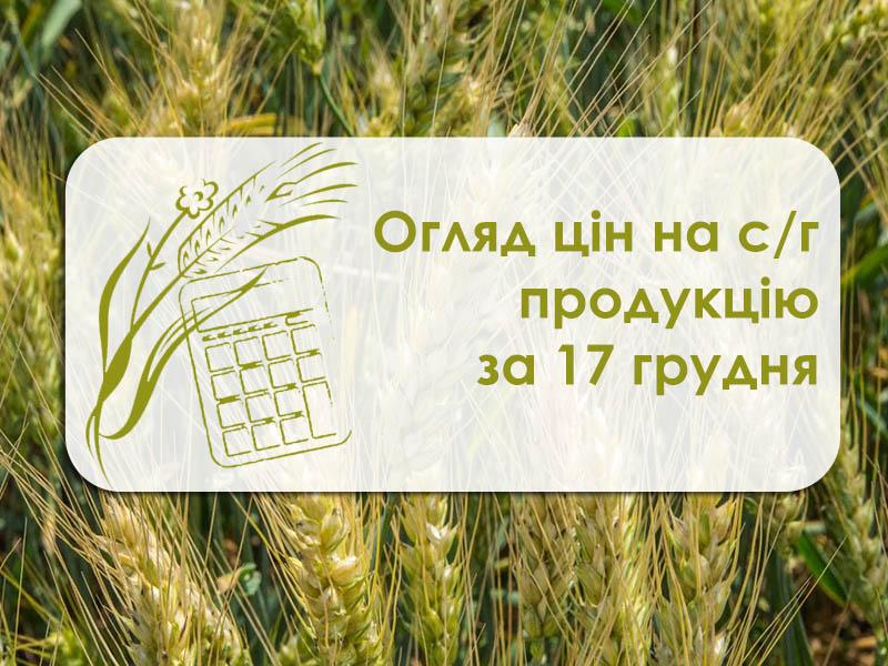 Вартість зернових та олійних за вихідні не змінилася — огляд цін на с/г культури за 17 грудня 