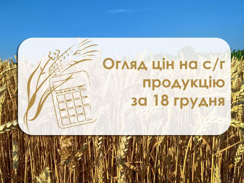 Вартість зернових та олійних не змінилися від учора — огляд цін на с/г продукцію за 18 грудня