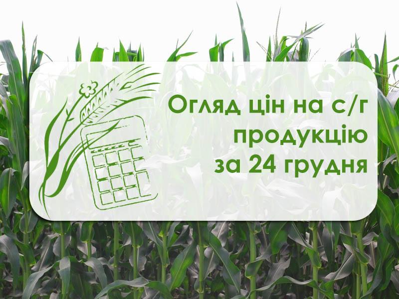 Зернові та олійні подешевшали у порту Миколаївщини — огляд цін на с/г продукцію за 24 грудня