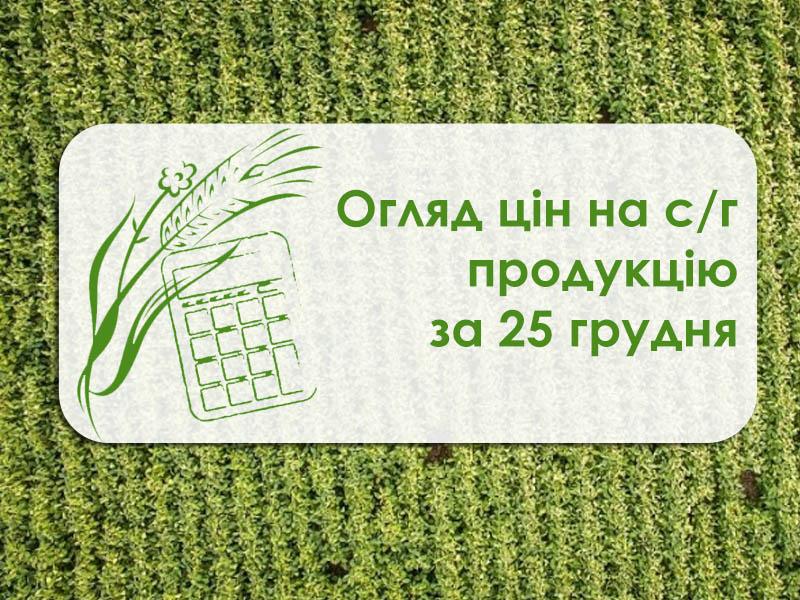 Пшениця подорожчала, а соя подешевшала — огляд цін на с/г продукцію за 25 грудня