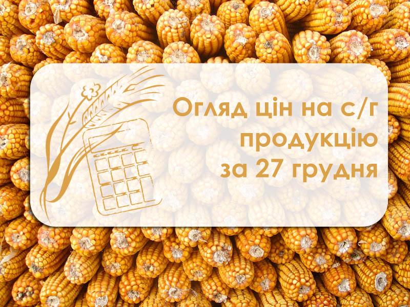 Кукурудза та соняшник подешевшали — огляд цін на с/г продукцію за 27 грудня