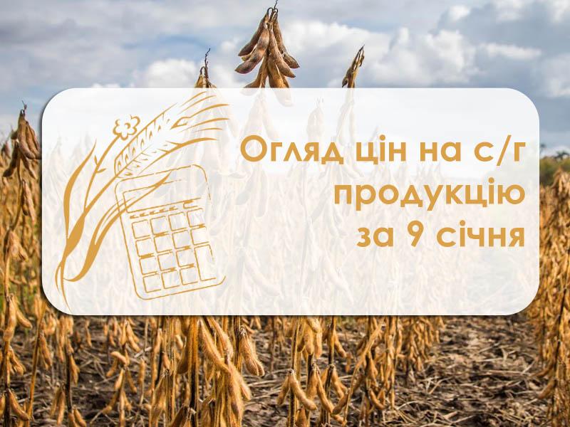 Огляд цін на с/г продукцію за 9 січня