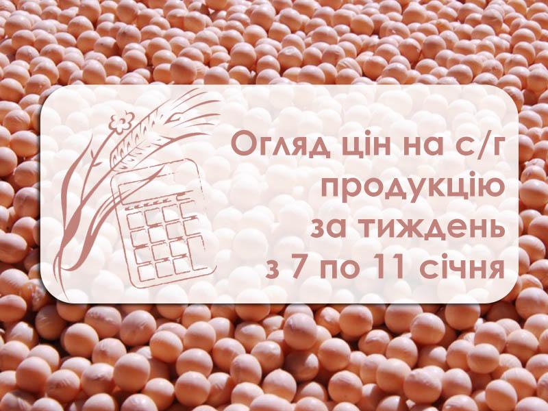 Огляд цін на с/г продукцію за тиждень