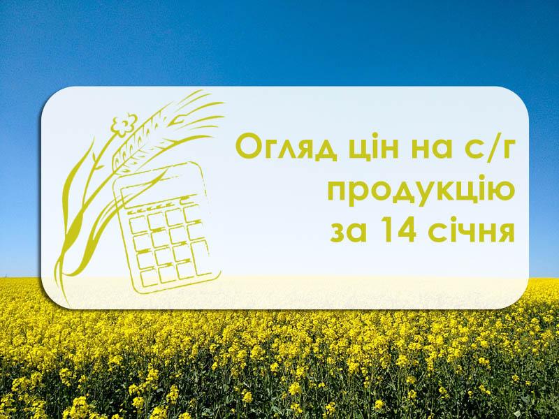 Огляд цін на с/г продукцію станом на 14 січня