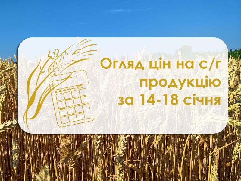 Огляд цін на с/г продукцію за 14-18 січня