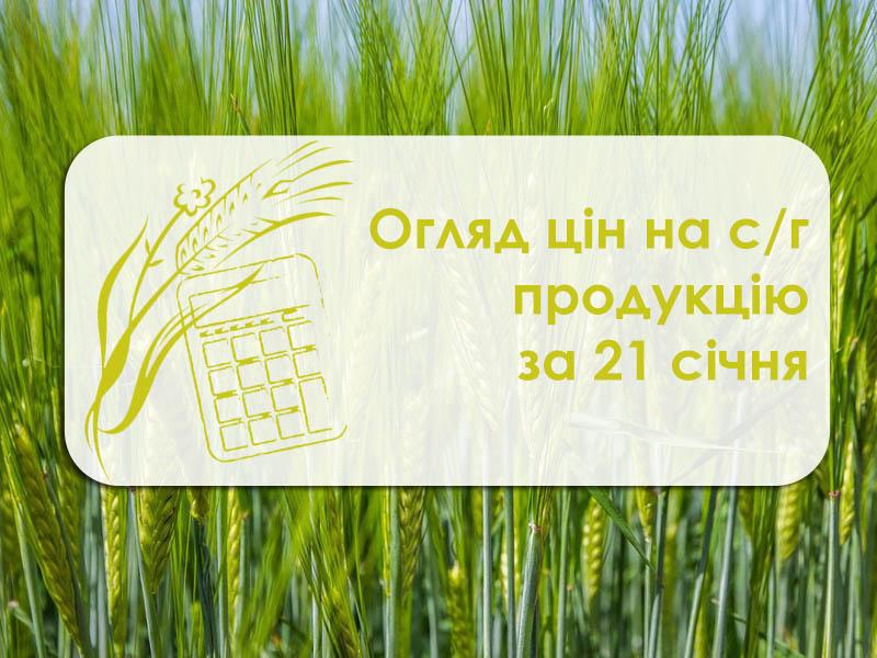 Огляд цін на с/г продукцію за 21 січня