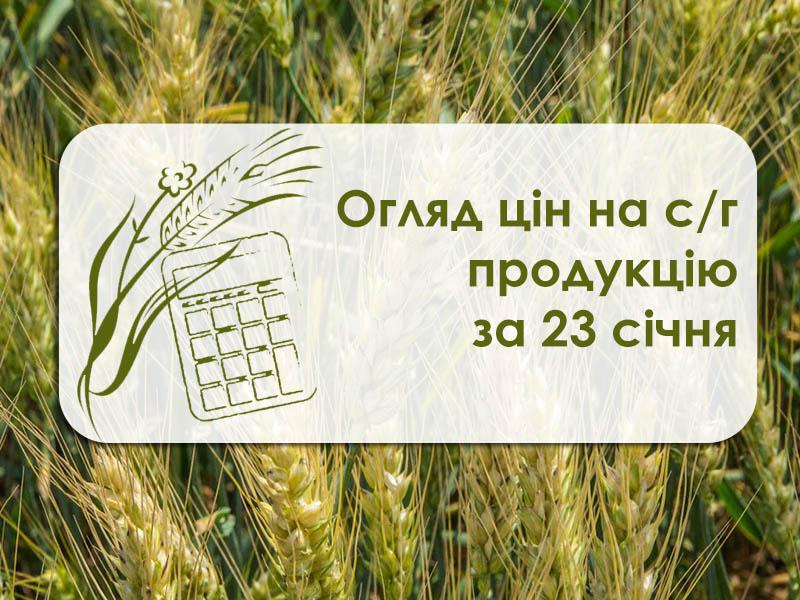 Огляд цін на с/г продукцію за 23 січня