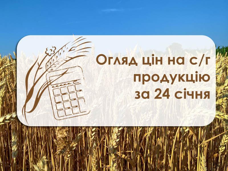 Огляд цін на с/г продукцію за 24 січня