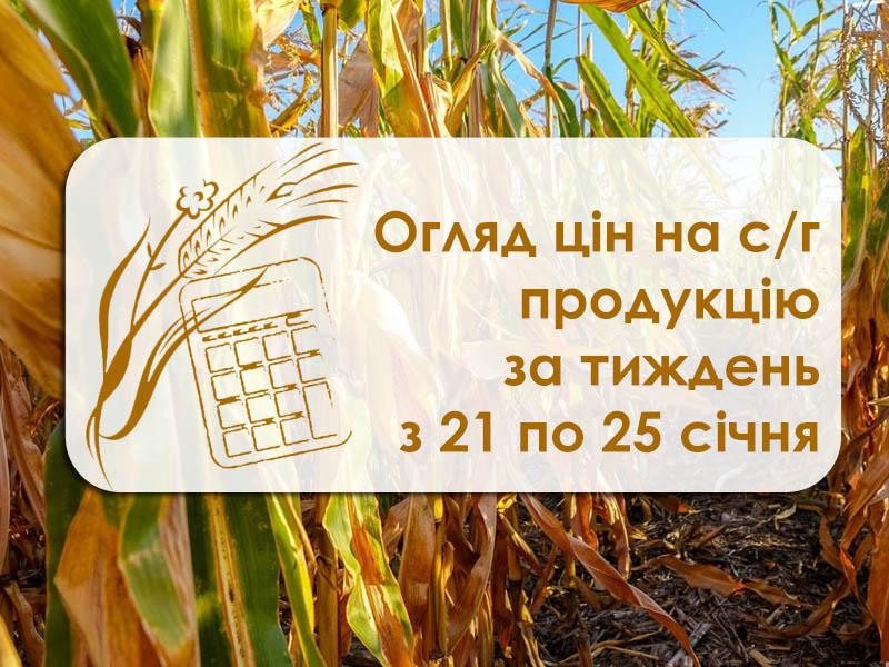 Огляд цін на с/г продукцію за тиждень з 21 по 25 січня