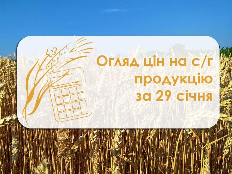 Огляд цін на с/г продукцію за 29 січня