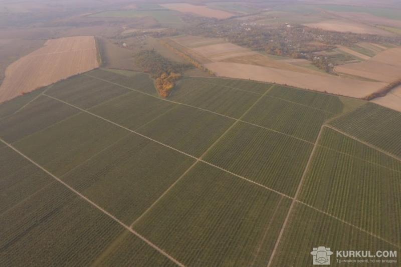 В Україні зміниться порядок проведення інвентаризації земель