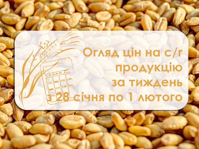 Огляд цін на с/г продукцію за тиждень з 28 січня по 1 лютого