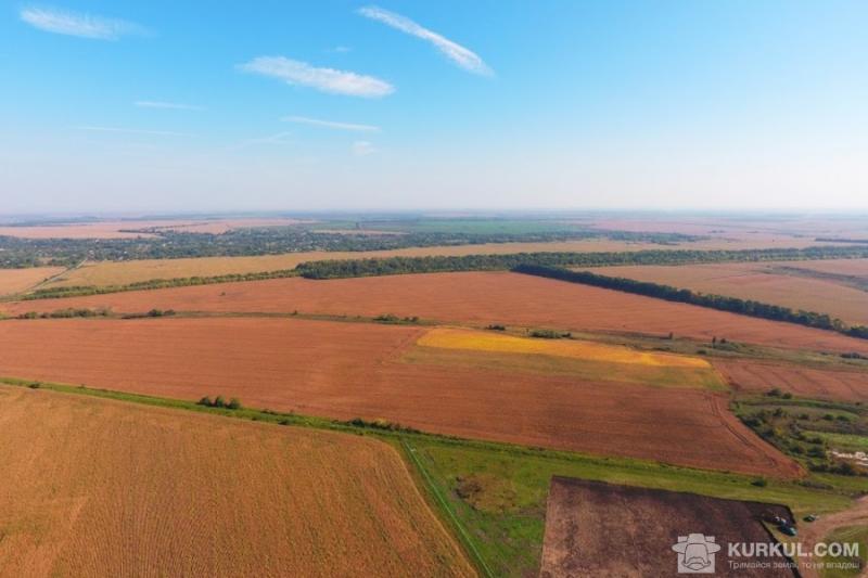 Стало відомо, де найвища орендна плата за паї