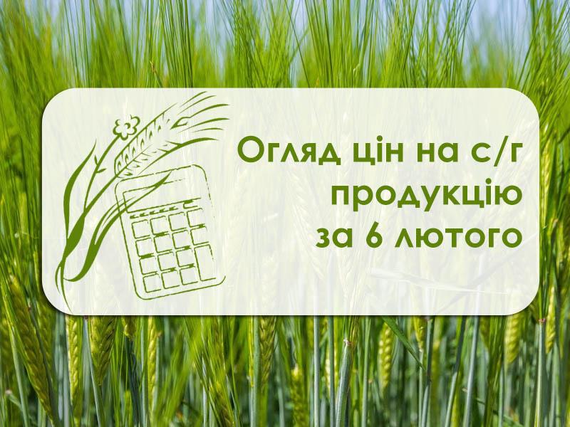 Огляд цін на с/г продукцію за 6 лютого