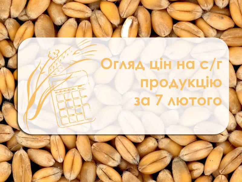 Огляд цін на с/г продукцію за 7 лютого