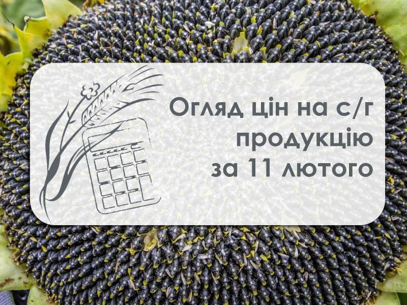 Огляд цін на с/г продукцію за 11 лютого