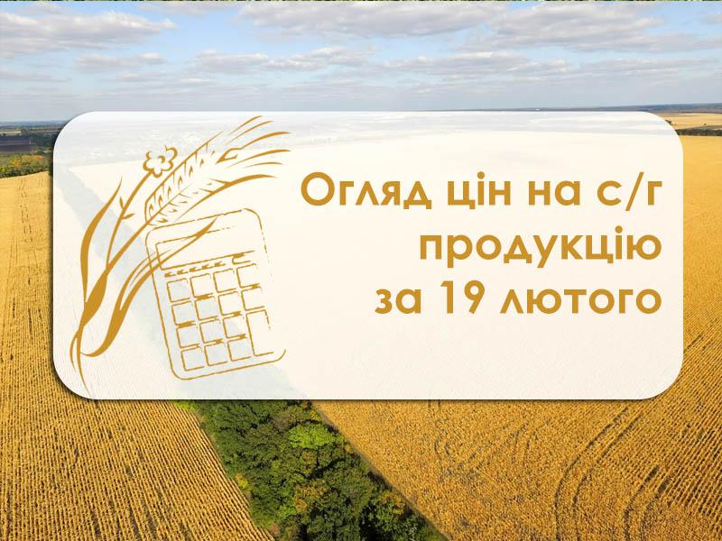 Огляд цін на с/г продукцію за 19 лютого