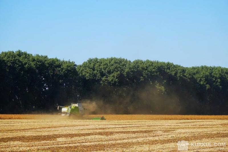 Сільське господарство увійшло до п'ятірки лідерів за кількістю незареєстрованих працівників 