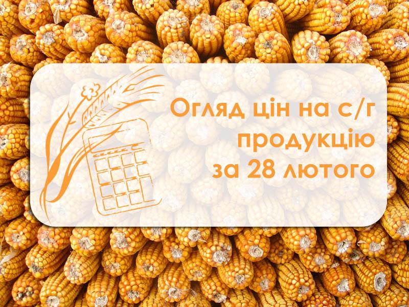 Огляд цін на с/г продукцію за 28 лютого