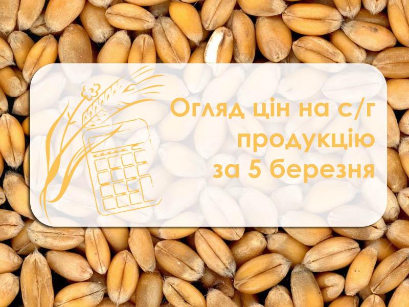 Огляд цін на с/г продукцію за 5 березня