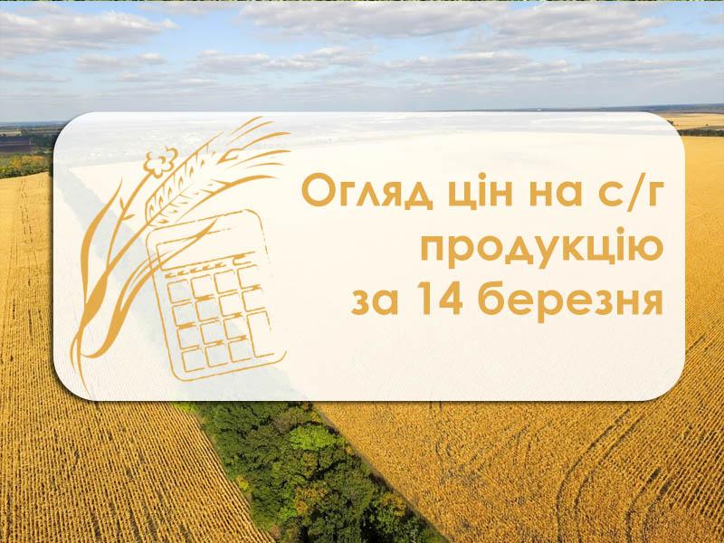 Кукурудза та соняшник продовжують дешевшати — огляд цін на с/г продукцію за 14 березня