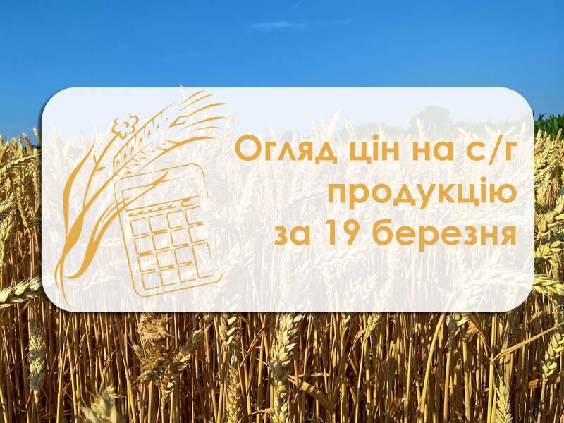 Ціна сої у Миколаївському порту піднялась — огляд цін на с/г продукцію за 19 березня