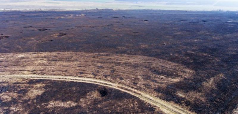 Тисячі гектарів заповідного степу вигоріло на Одещині