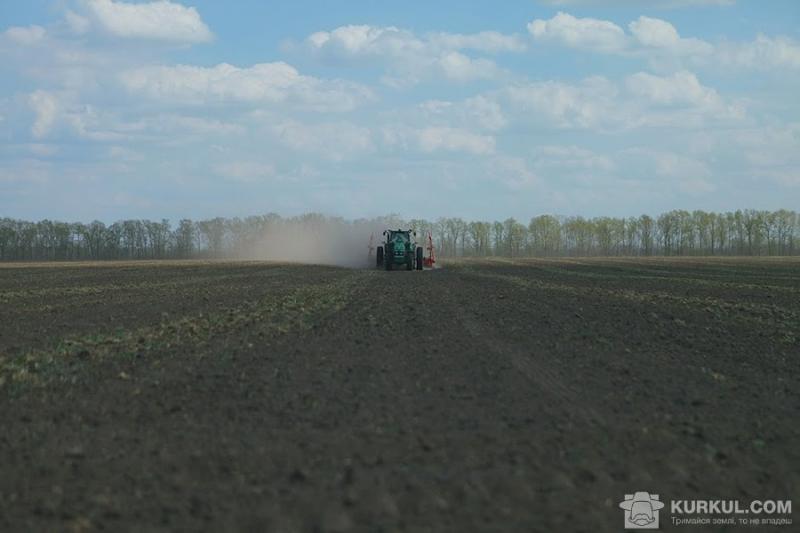 Сівбу ранніх зернових проведено на третині площ