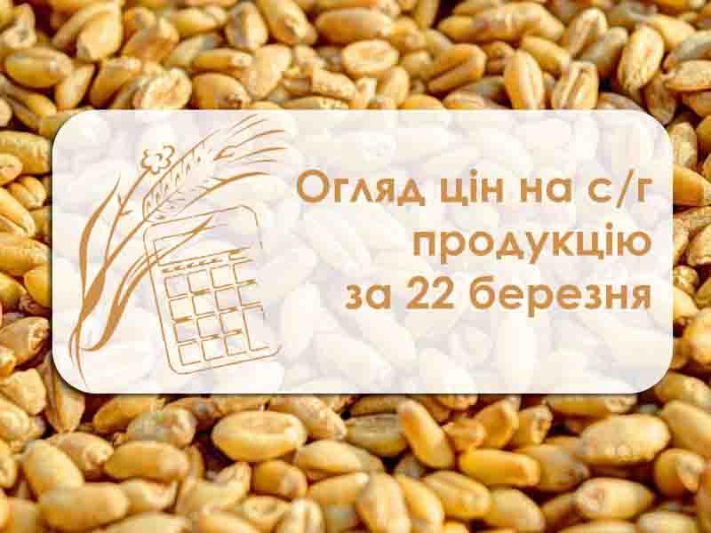 Огляд цін на с/г продукцію за 22 березня