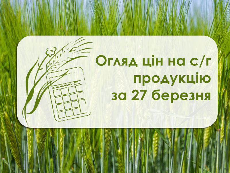 У портах Одеської області знизилась вартість ріпаку — огляд цін на с/г продукцію за 27 березня