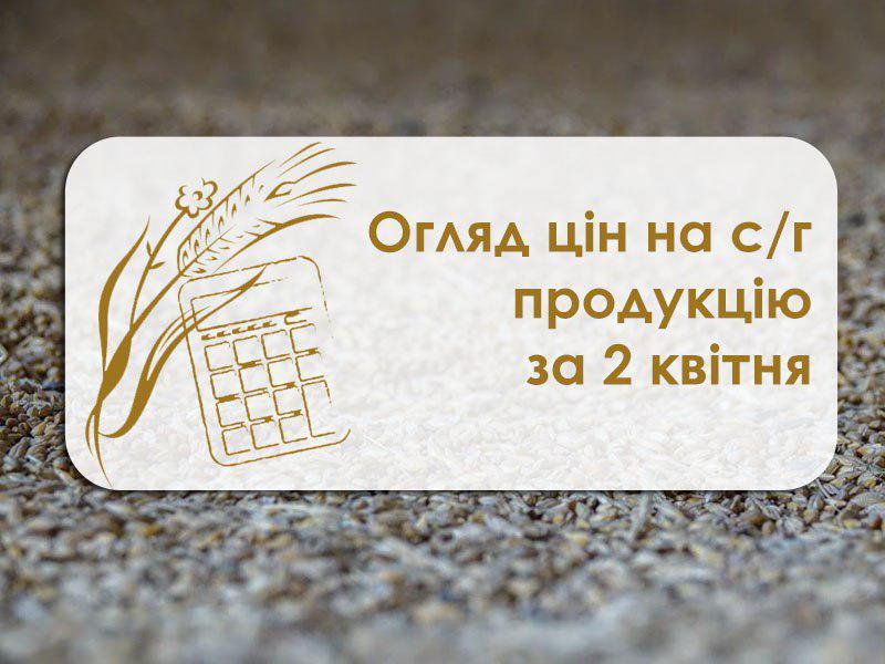 У портах Одеської області знову почав дешевшати ріпак — огляд цін на с/г продукцію за 2 квітня