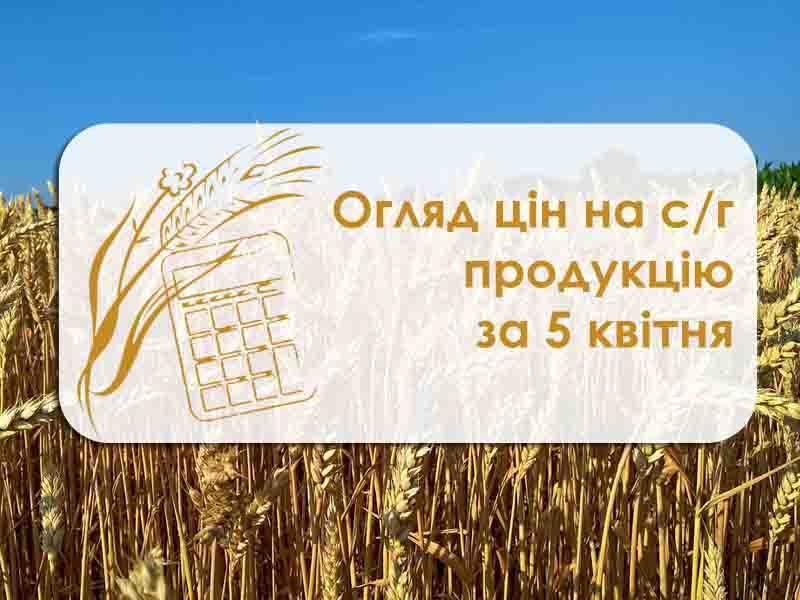 Огляд цін на с/г продукцію за 5 квітня