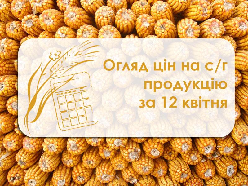 Ячмінь, соняшник та ріпак подешевшали — огляд цін на с/г культури за 12 квітня