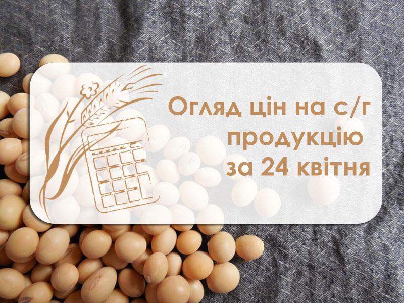 Зросла вартість соняшнику — огляд цін на с/г продукцію за 24 квітня 