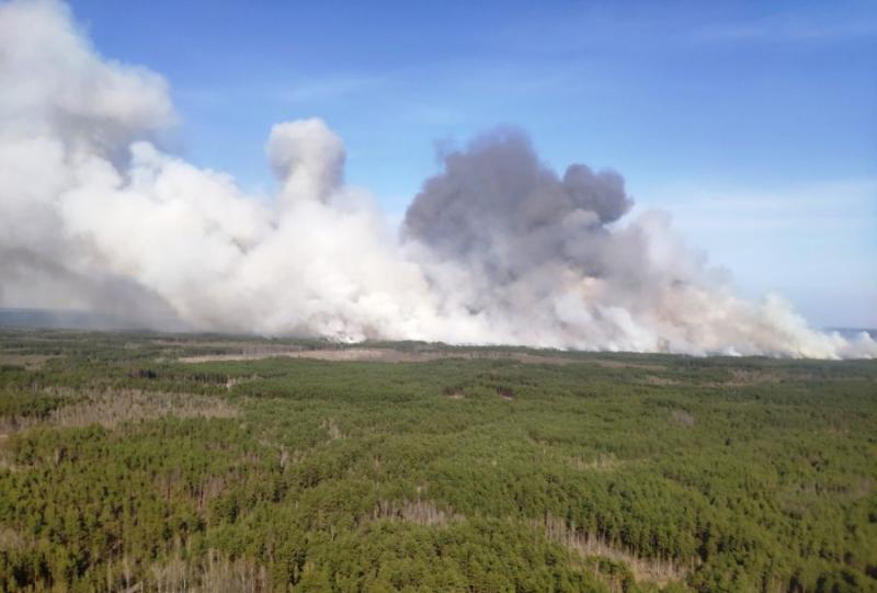 На Житомирщині горять 15 га лісового масиву