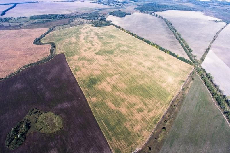 У Держгеокадастрі повідомили, коли закінчать інвентаризацію землі