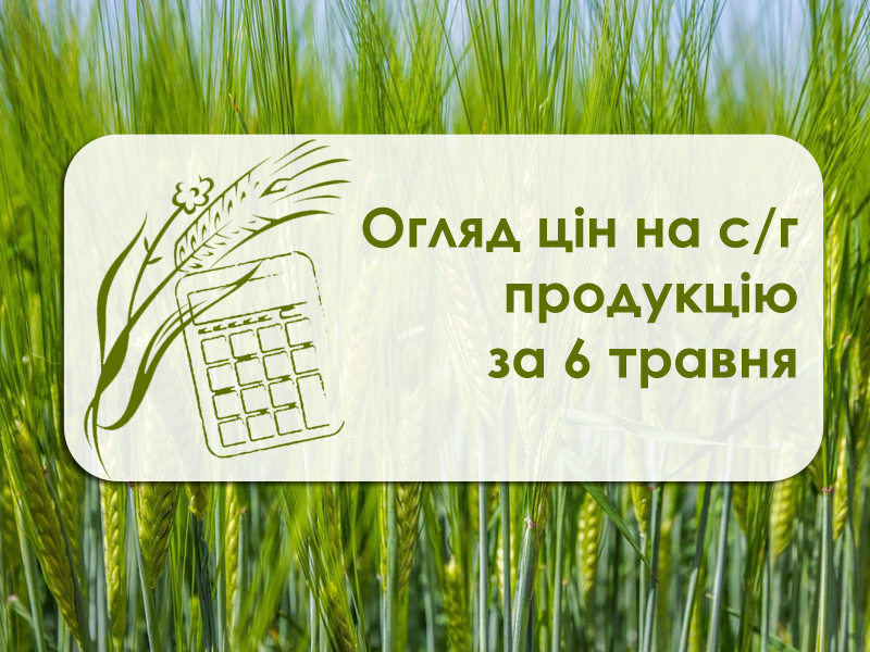 Огляд цін на с/г продукцію за 6 травня