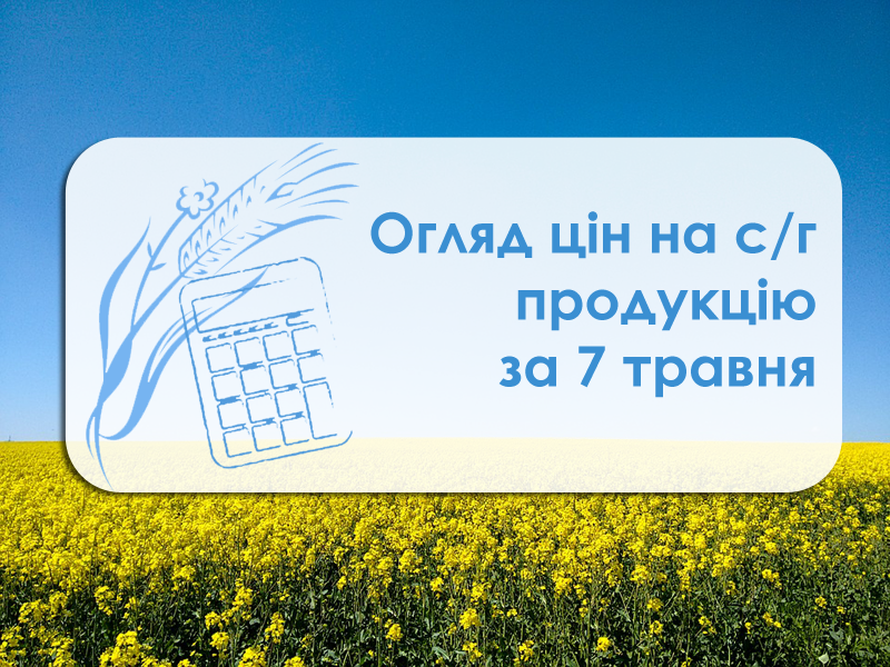 Вартість зернових у портах знижується — огляд цін на с/г продукцію за 7 травня