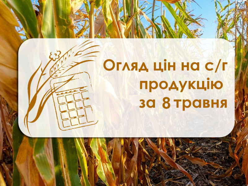 Зернові знову дешевшають — огляд цін на с/г продукцію за 8 травня