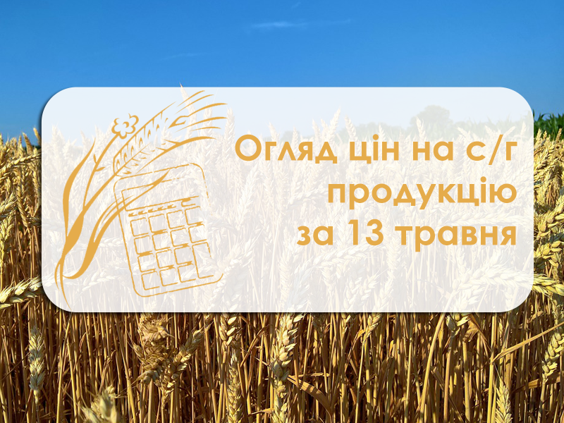 Зернові подорожчали, соняшник знизився в ціні — огляд цін на с/г культури за 13 травня