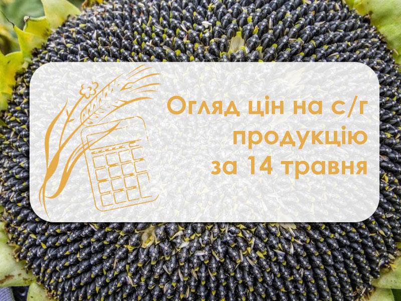 Соняшник подорожчав — огляд цін на с/г продукцію за 14 травня 