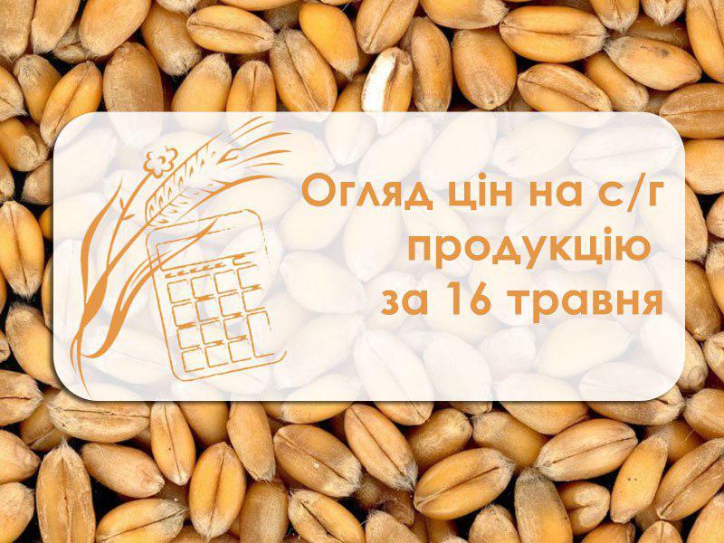 Огляд цін на с/г продукцію за 16 травня