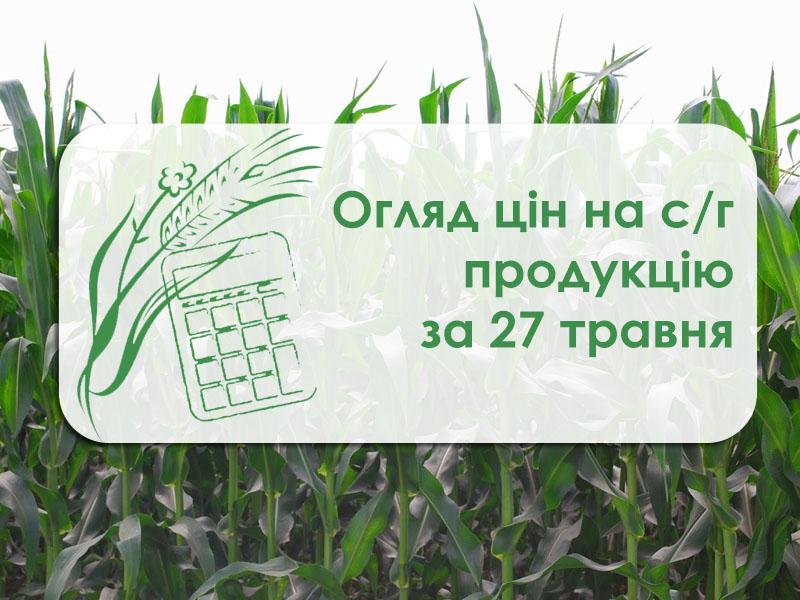 Кукурудза подешевшала — огляд цін на с/г продукцію за 27 травня